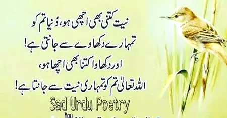 بے شک🌷🌷