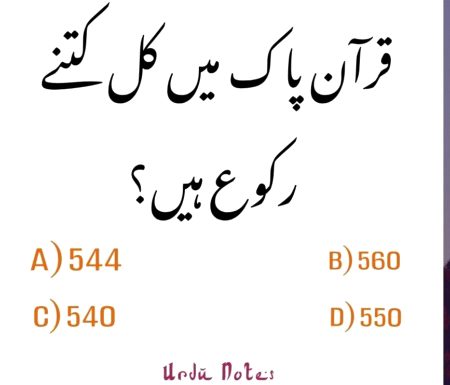 Knowledge Test image