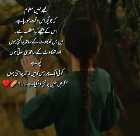 ۔،۔،۔،۔،۔۔،۔،۔،۔،۔۔،