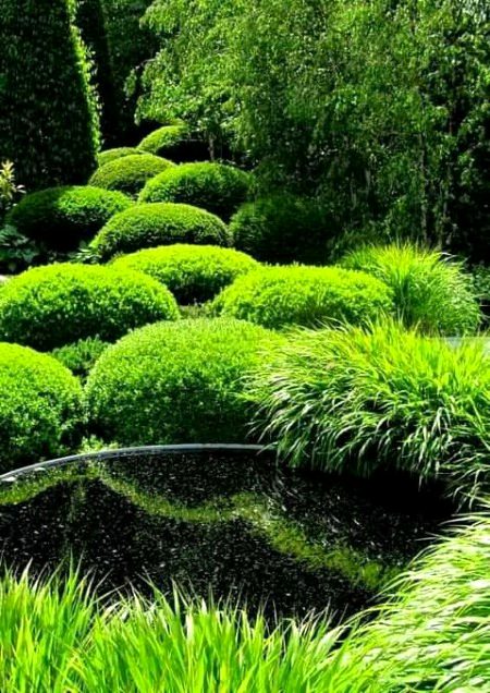 Beautiful Nature image