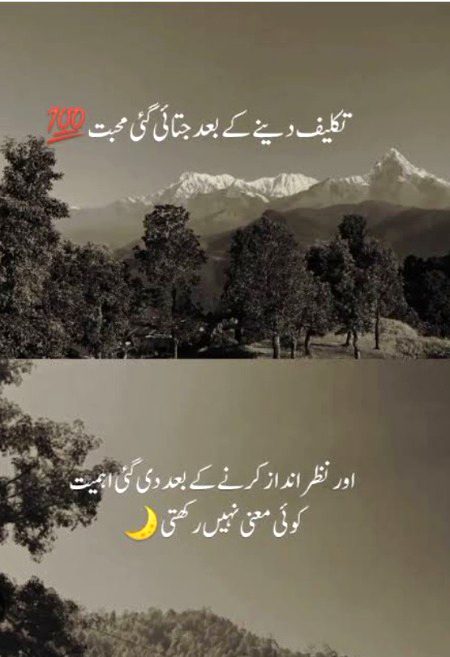 تکلیف دینے کے بعد جتائی گئی محبت اے
اور نظر انداز کرنے کے بعد دی گئی اہمیت کوئی معنی نہیں رکھتی )