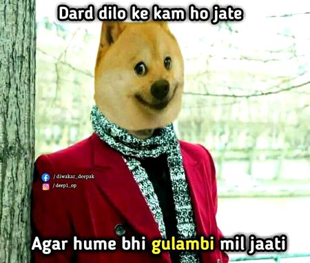 gulambi mil jatin ⊙_⊙