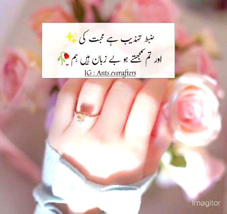 Sad Poetry image