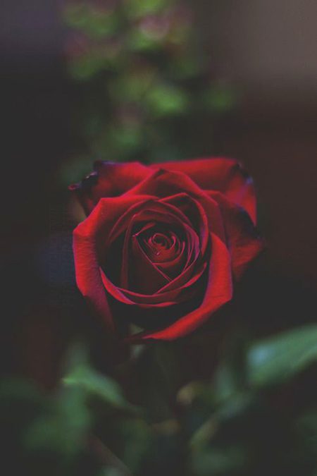 Beautiful Nature image