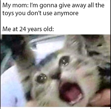 Memes & Satire image