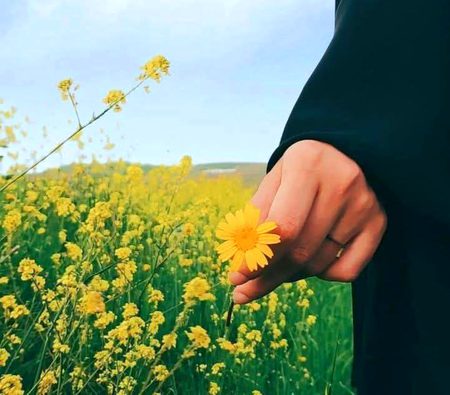 Beautiful Nature image