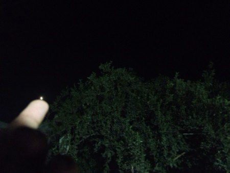 Beautiful Nature image