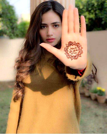 Pakistani Celebs image