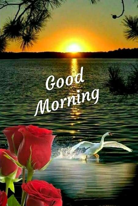 Beautiful Nature image