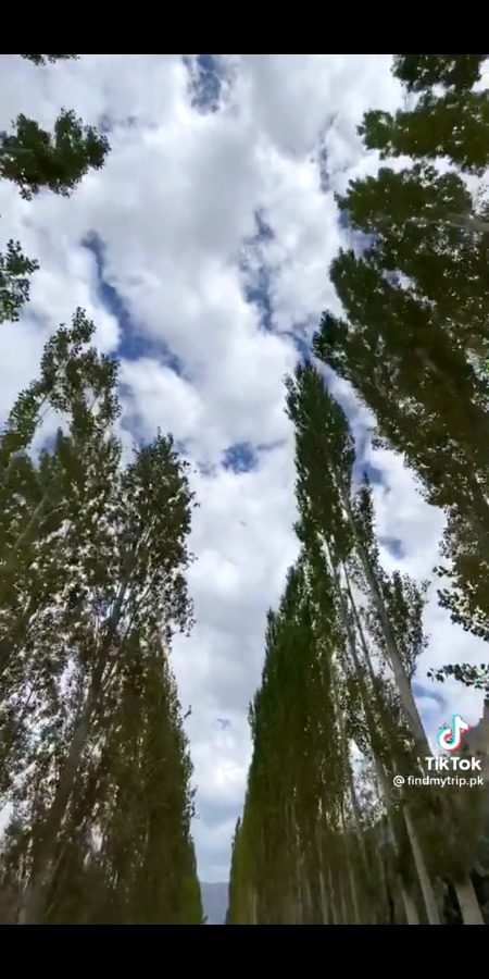 Beautiful nature ❤️😍😇