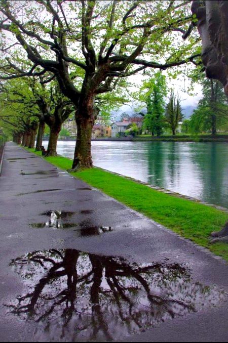 Beautiful Nature image