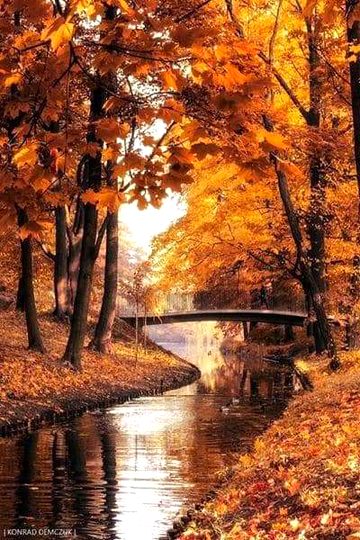 Beautiful Art Paintings
