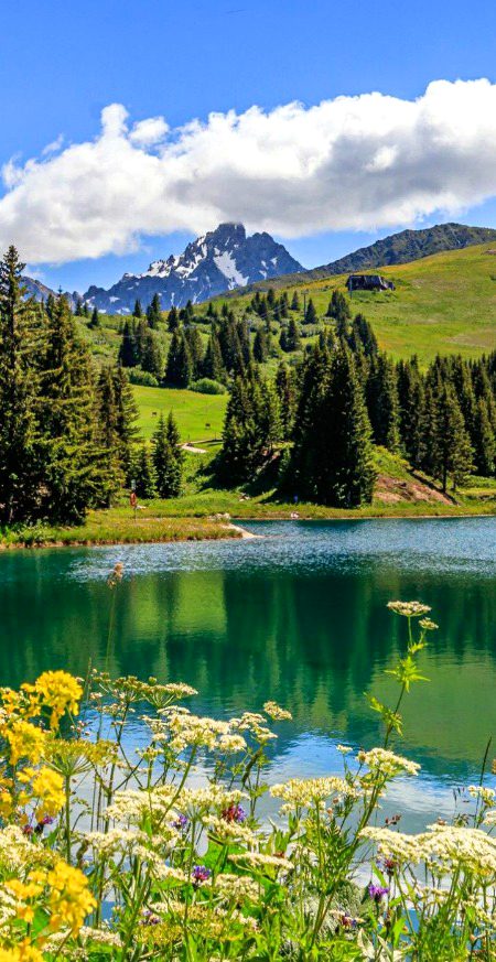 Beautiful Nature image