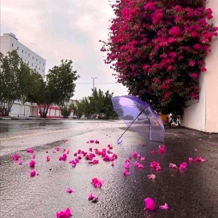 Beautiful Nature image