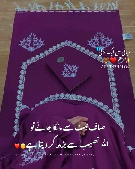 Islamic Quotes image