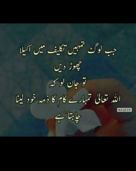 Islamic Quotes image