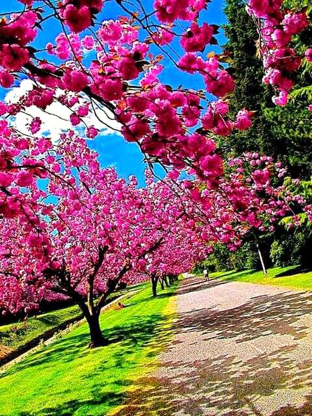 Beautiful Nature image