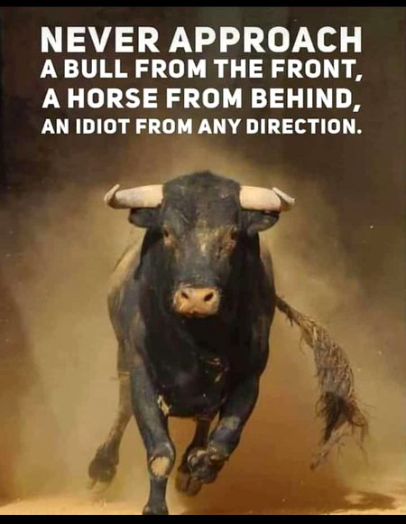 Life Advice image