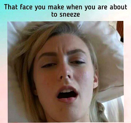 about to sneez ⊙_⊙