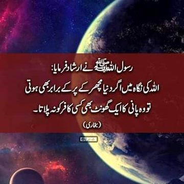 Islamic Quotes image