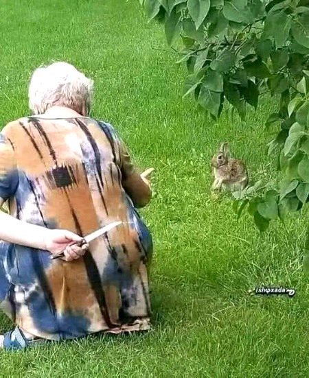 Beautiful Nature image