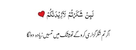 * _° دُعائیں نصیب سے نہیں،_
* _بلکہ نصیب دُعاؤں سے بدلتے ہیں؛_
* _آپ اِتنے یقین سے مانگیں کہ آپ کے یقین ؛_ 
* _کے بعد کہانی مُعجزوں کی لِکھی جائے۔“_