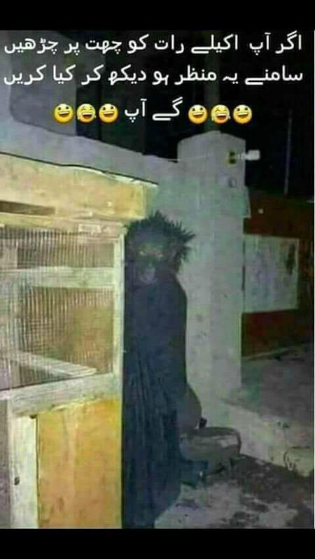 Memes & Satire image