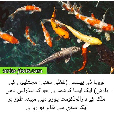 Damadam.Pk