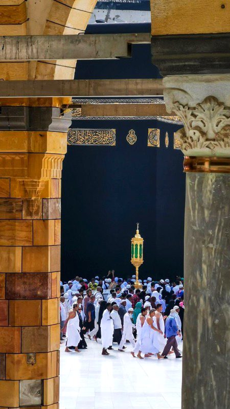 Beautiful Structures image