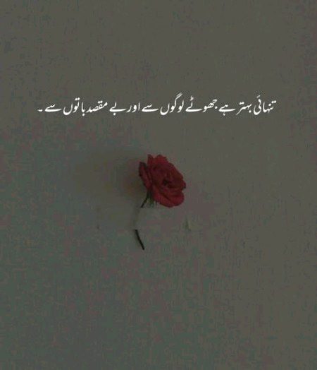 Life Advice image