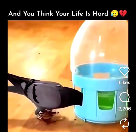 ρσѕт ву мαℓιк.ғᴀ