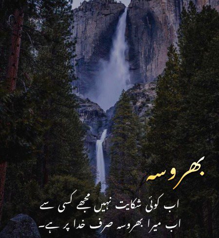 ❤💚💜❤💚💜