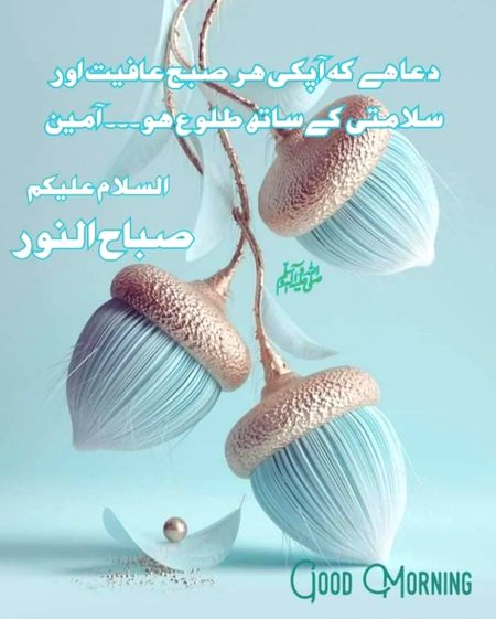 Asslam o alaikim happy sunday