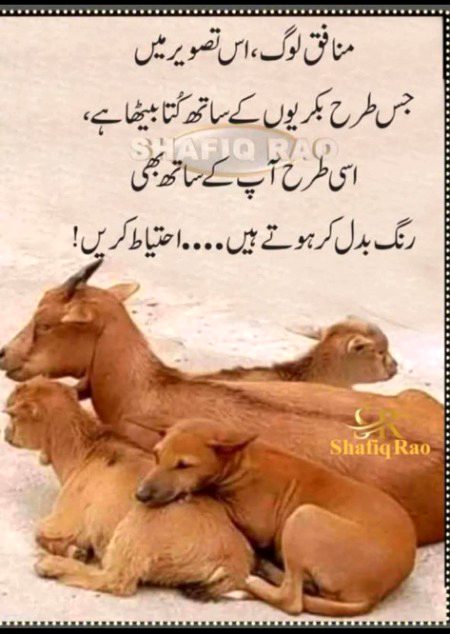 Kl rt earth quick bht zor ka aYA 
Ks ks ko pta lga