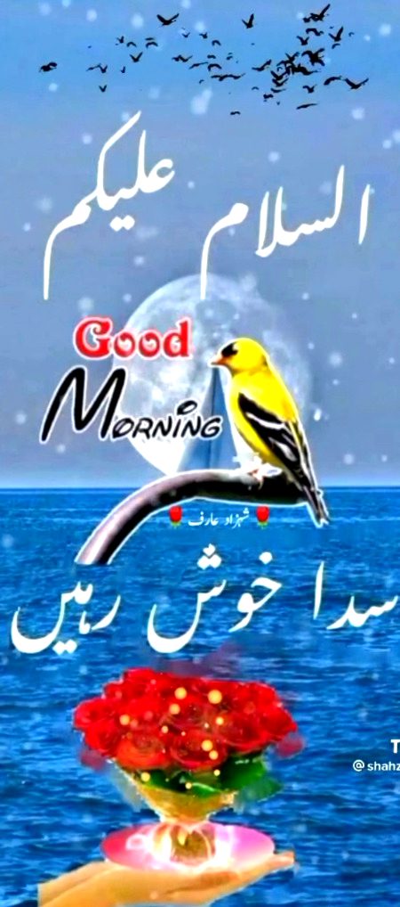 Subh bakher🌹🖤