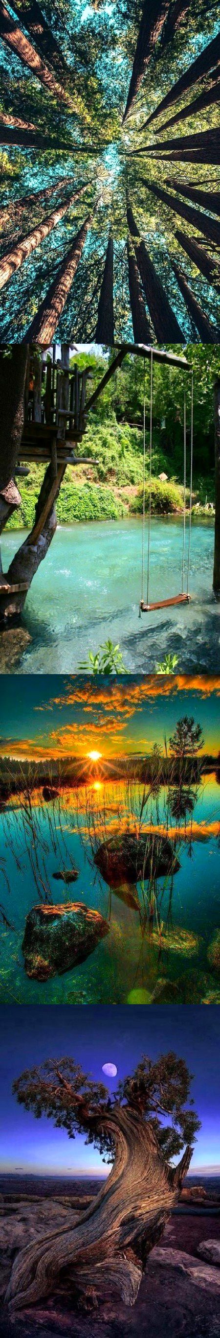 Beautiful Nature image