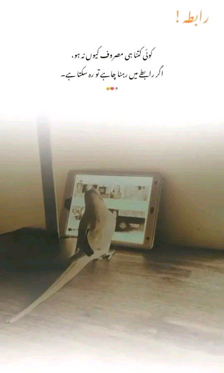 مصروفیت کوئی اچھا بہانا نہیں ہے 💘💞👍