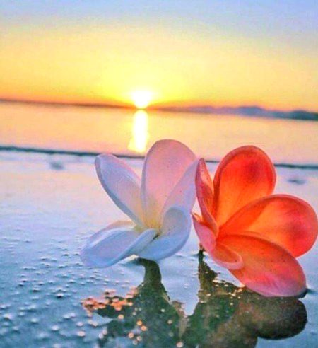Beautiful Nature image
