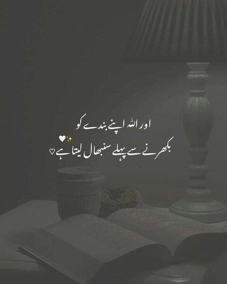 اگر بندہ بھی چاھیے تو 🌺🌺🌺