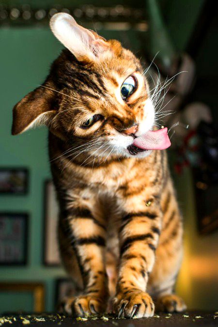 Beautiful Nature image