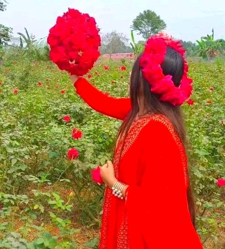 Beautiful Nature image