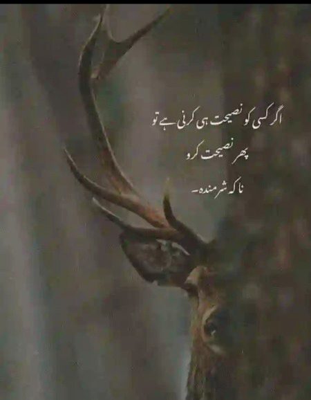 Life advise