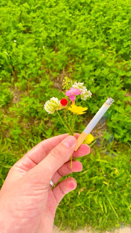 Beautiful Nature image