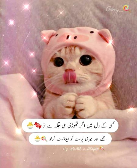Memes & Satire image