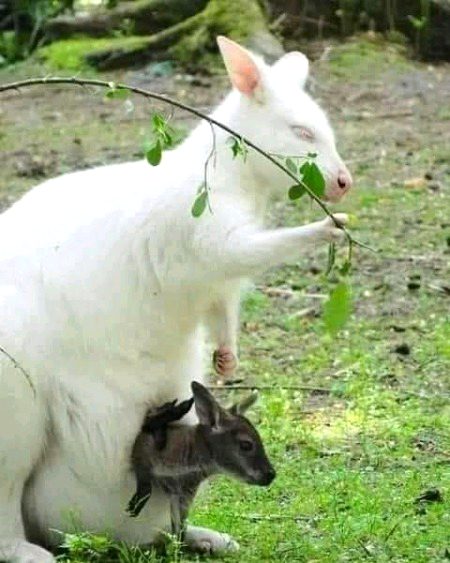 Beautiful Nature image