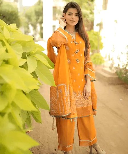 Pakistani Celebs image