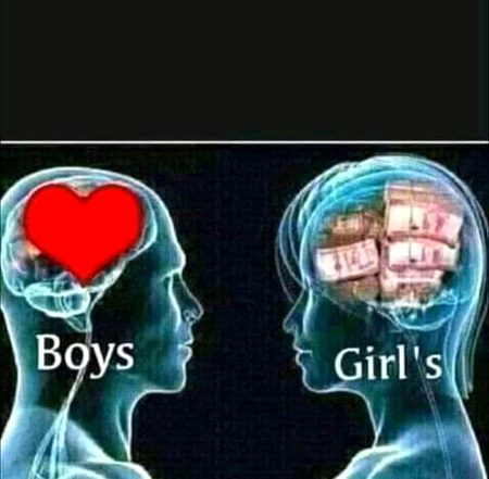 Memes & Satire image