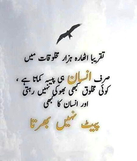 جو انسان آپ سے سچی محبت کرتا ہے اسے پیسے کی نہیں آپ کے وقت اور محبت ضرورت ہوتی ہے ،،،