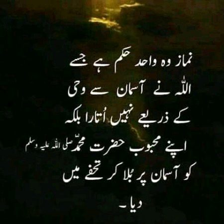 Islamic Quotes image