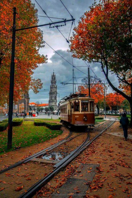 Beautiful Nature image